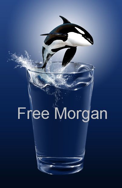 Free Morgan