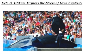 Photos les plus impressionnantes Keto-tilikum-stress-cover-page-0011