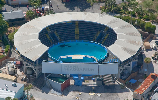 miami-seaquarium-killer-whale-stadium.jpg