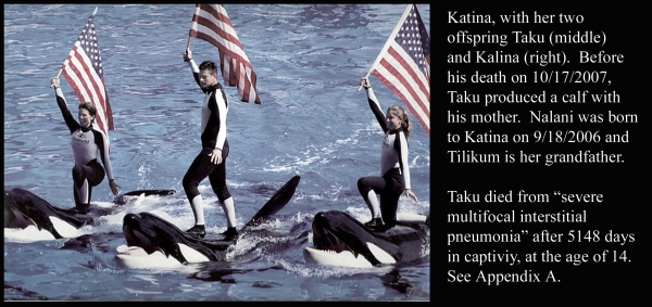 Katina, Taku, Kalina and Flag Bearing Trainers
