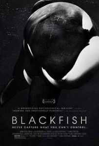 Documentary film 'Blackfish'